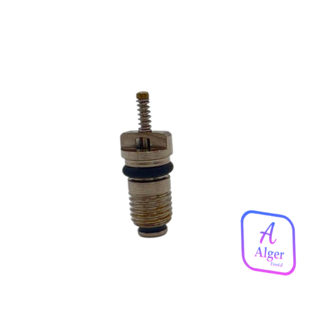 VALVE AUTO ASIATIQUE 19106